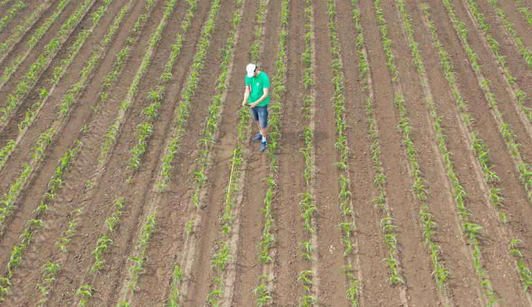 不止於精美照片：半岛体育利用無人機圖像分析為農民創造更多價值